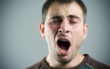 Chi dorme non piglia grassi