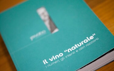 Libri | Servabo, il vino naturale
