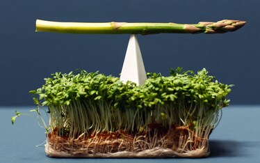 Luscious Food Cravings. A study of food fetishes