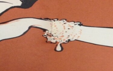 Galateo | A tavola, punto per punto...