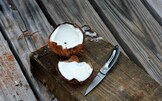 Il cocco