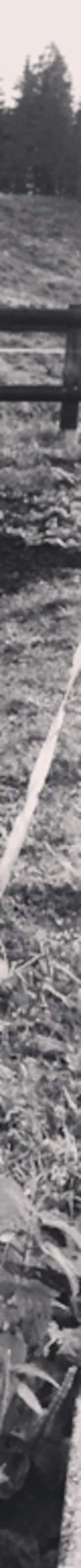 Il Km Zero è l'Italia, e lo costruisci tu