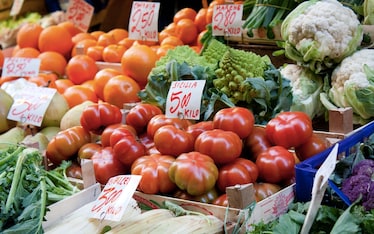 Mercati | Mercato di mezzo, Bologna