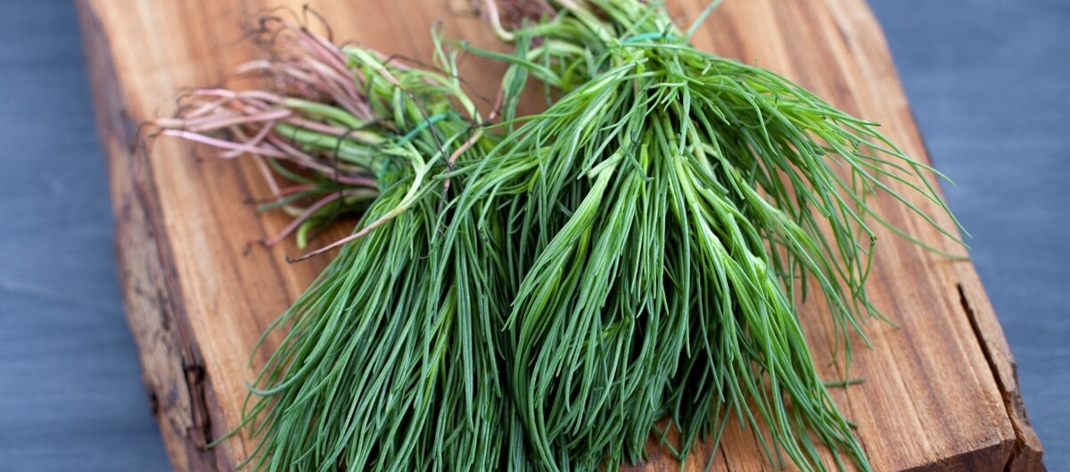 17 verdure di stagione per la spesa di marzo