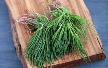 17 verdure di stagione per la spesa di marzo