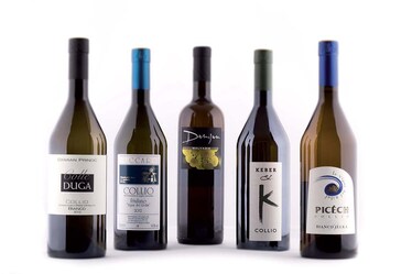 Collio Vitae, white wine culture | Per intenderci meglio