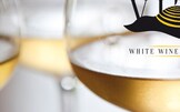 Evento5 | "COLLIO VITAE  white wine culture" è per Voi40