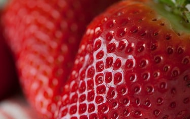 Fragole contro il colesterolo