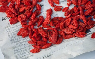 Il Goji e le sue bacche