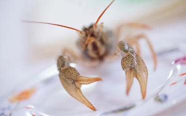 Il Sabato del Villaggio | Decalogo (di cinque regole) del Bravo PR