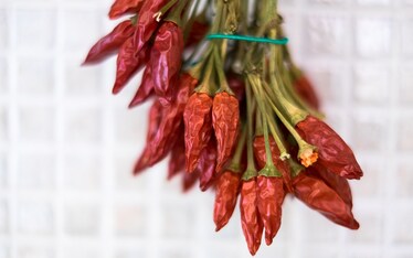 Chi mangia peperoncino campa cent'anni