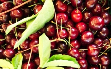 8 frutti di stagione per la spesa di giugno