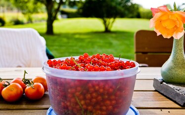 Digerire al meglio, anche d'estate