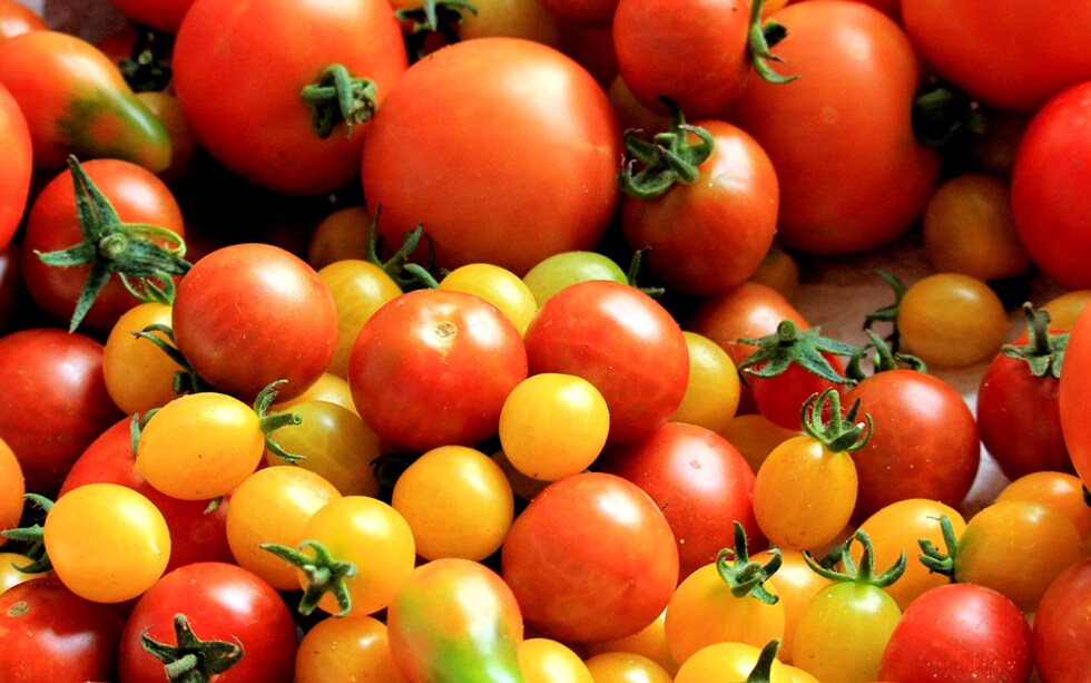 14 verdure di stagione per la spesa di agosto