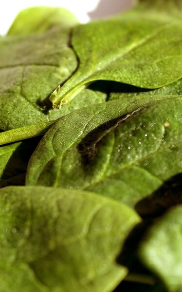 Batti la fame con gli spinaci