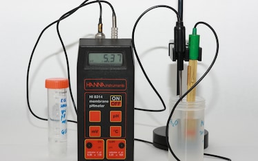 La dieta alcalina: favorevoli e contrari