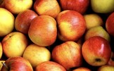 10 frutti di stagione per la spesa di ottobre