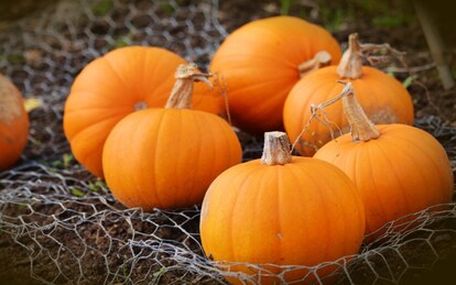 18 verdure di stagione per il mese di ottobre