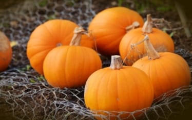 18 verdure di stagione per il mese di ottobre