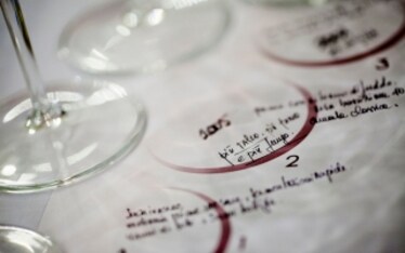 ArPePe e Rocce Rosse: il vino e gli anni.