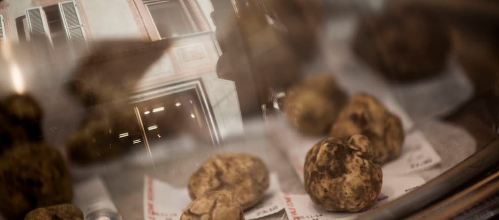 Alba, capitale del Tartufo