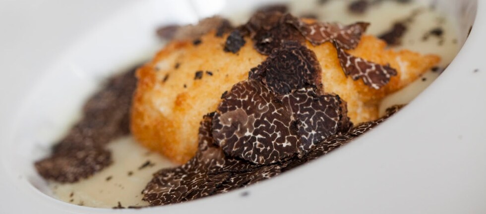 Il tartufo: come riconoscere le varietà