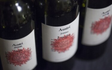 San Fereolo: Verticale breve di Langhe Rosso Austri