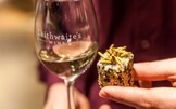 Vino e insetti: la guida per il perfetto abbinamento