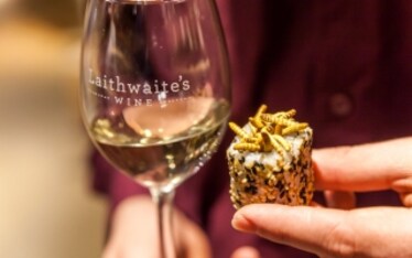 Vino e insetti: la guida per il perfetto abbinamento