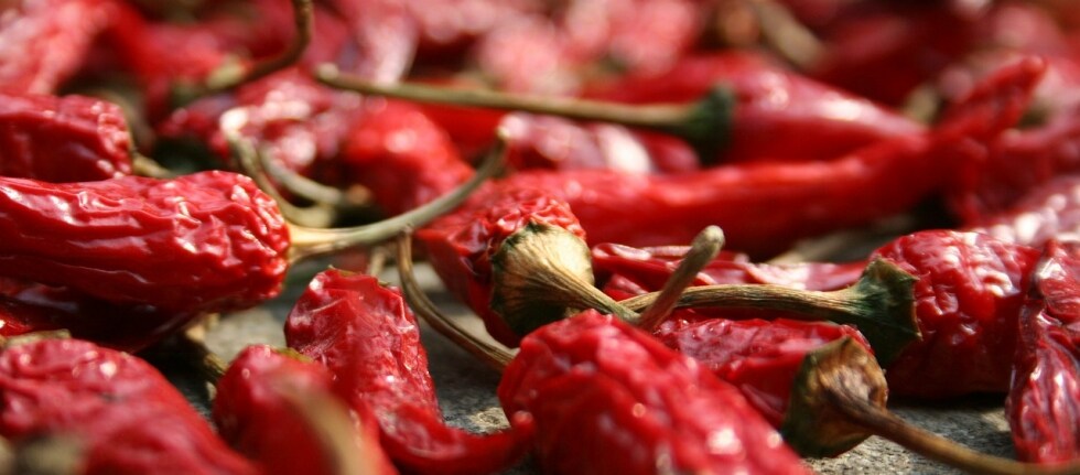 Magri con il peperoncino