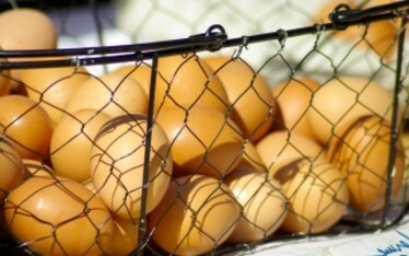 Uova e verdura, accoppiata vincente