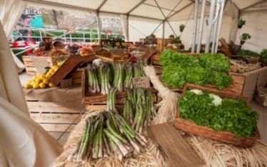 7 istantanee del Mercato Metropolitano di Milano