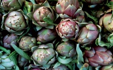 La dieta mediterranea fa bene al cervello