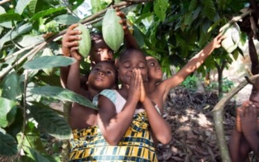 Expo-sing a world in a cup