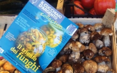 "Il trionfo dei funghi": il nuovo Collection è in edicola!