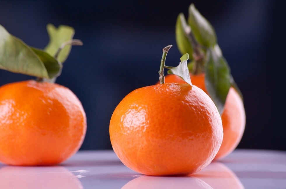 10 frutti di stagione per la spesa di novembre