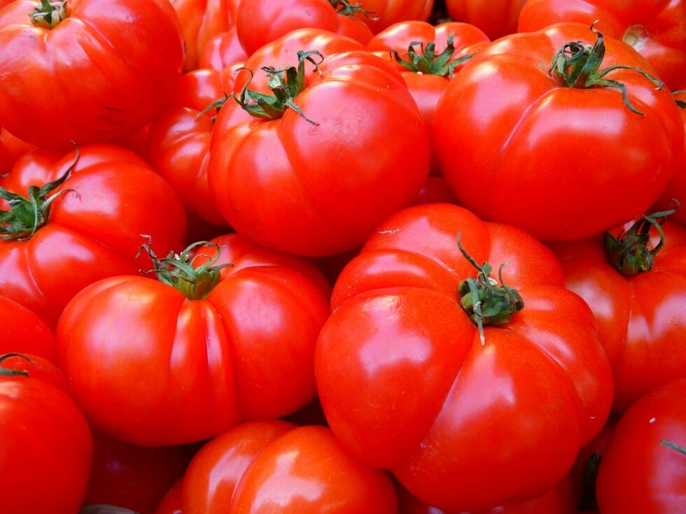 Ma davvero stiamo mangiando pomodoro cinese?