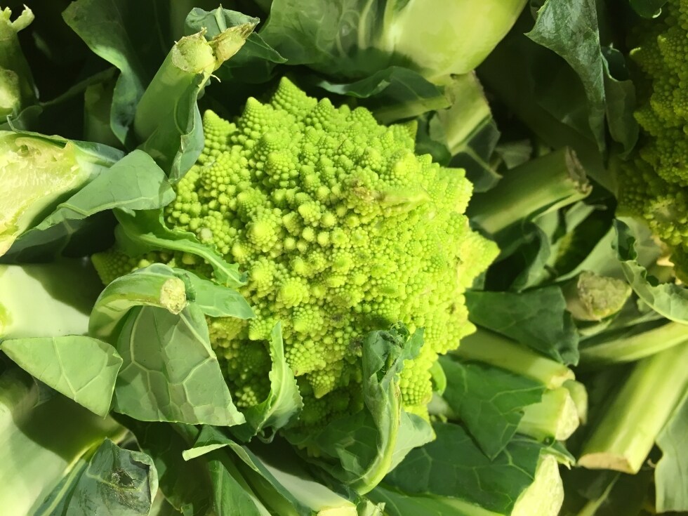 13 verdure di stagione per la spesa di dicembre