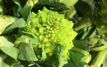 13 verdure di stagione per la spesa di dicembre