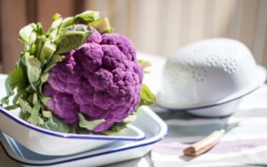 Integratori alimentari, l’importanza di una dieta equilibrata