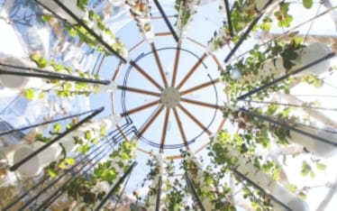 La Vertical Farm al Festival del Verde e del Paesaggio