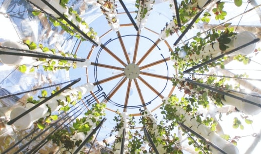 La Vertical Farm al Festival del Verde e del Paesaggio