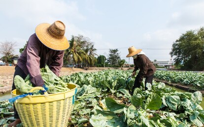 Coldiretti: “Ecco la lista dei cibi contaminati”