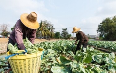Coldiretti: “Ecco la lista dei cibi contaminati”