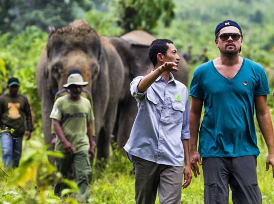 Olio di palma: ecco le aziende che cominciano ad abbandonarlo!