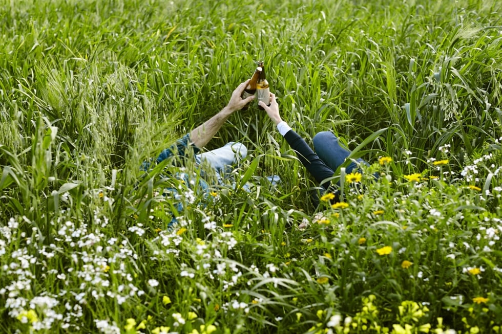 Le 5 birre per una grigliata indimenticabile