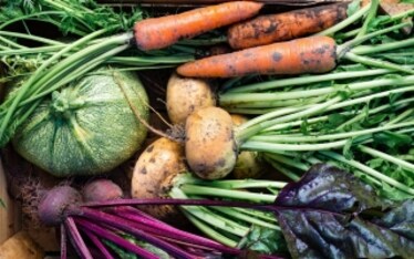 Boom di acquisti di alimenti bio: +21% in un anno!