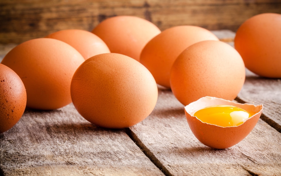 Uova contaminate dal fipronil: cosa c’è da sapere