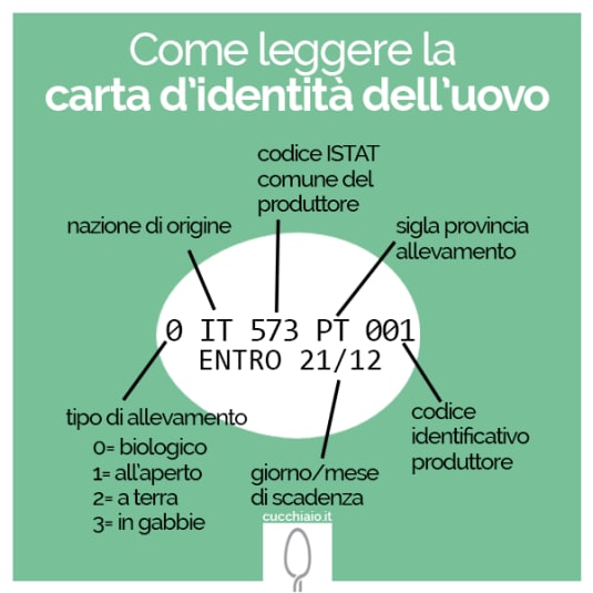 Uova contaminate dal fipronil: cosa c’è da sapere