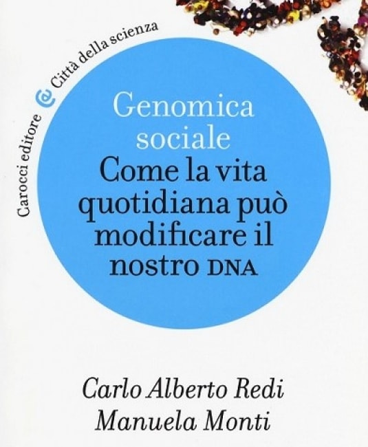 Ecco perché siamo intestino. Non solo cervello ed emozioni